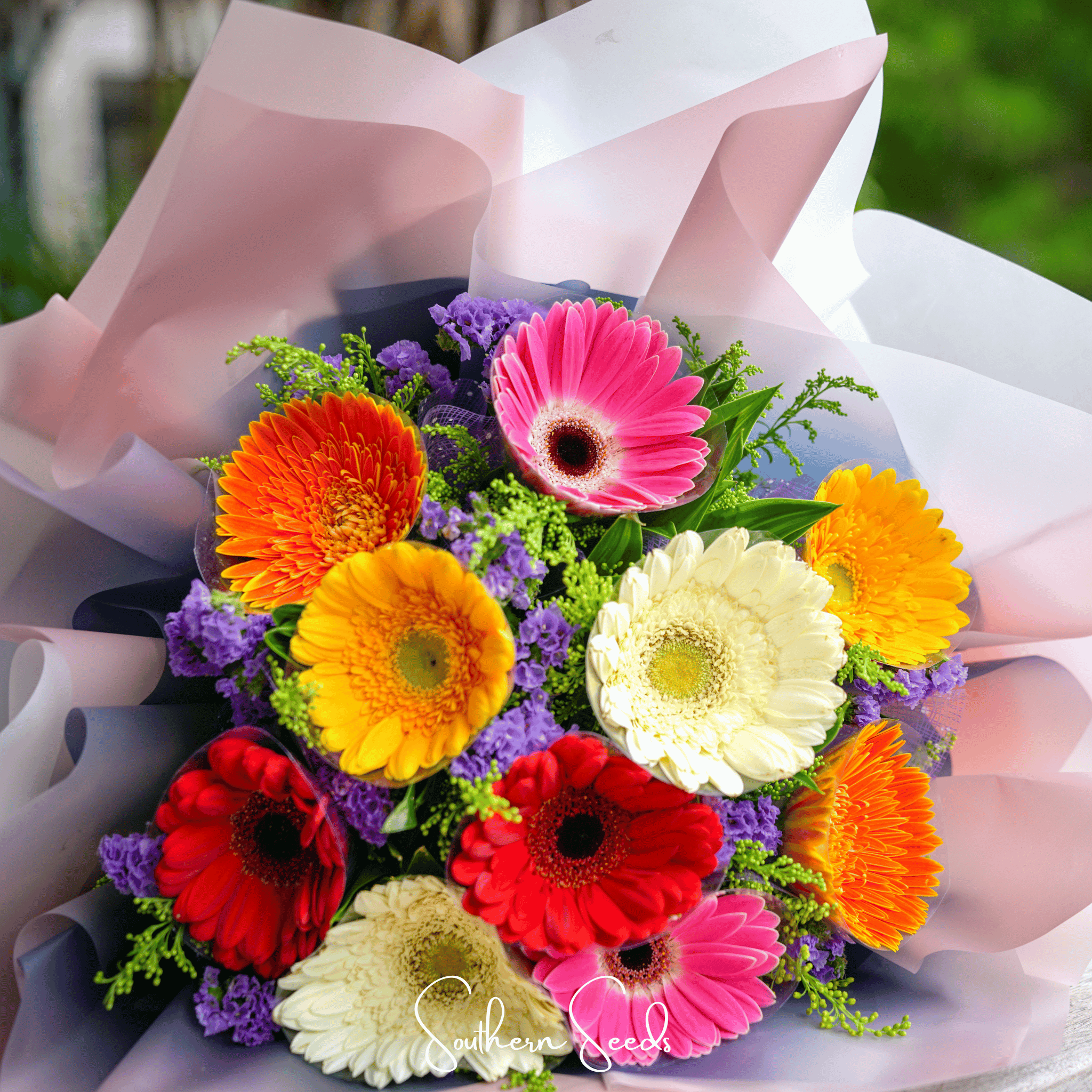Gerbera Daisy Mix – 20 Seeds Southern Seeds