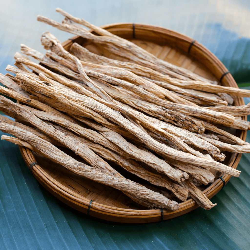 Dang-shen – 50 Seeds Southern Seeds