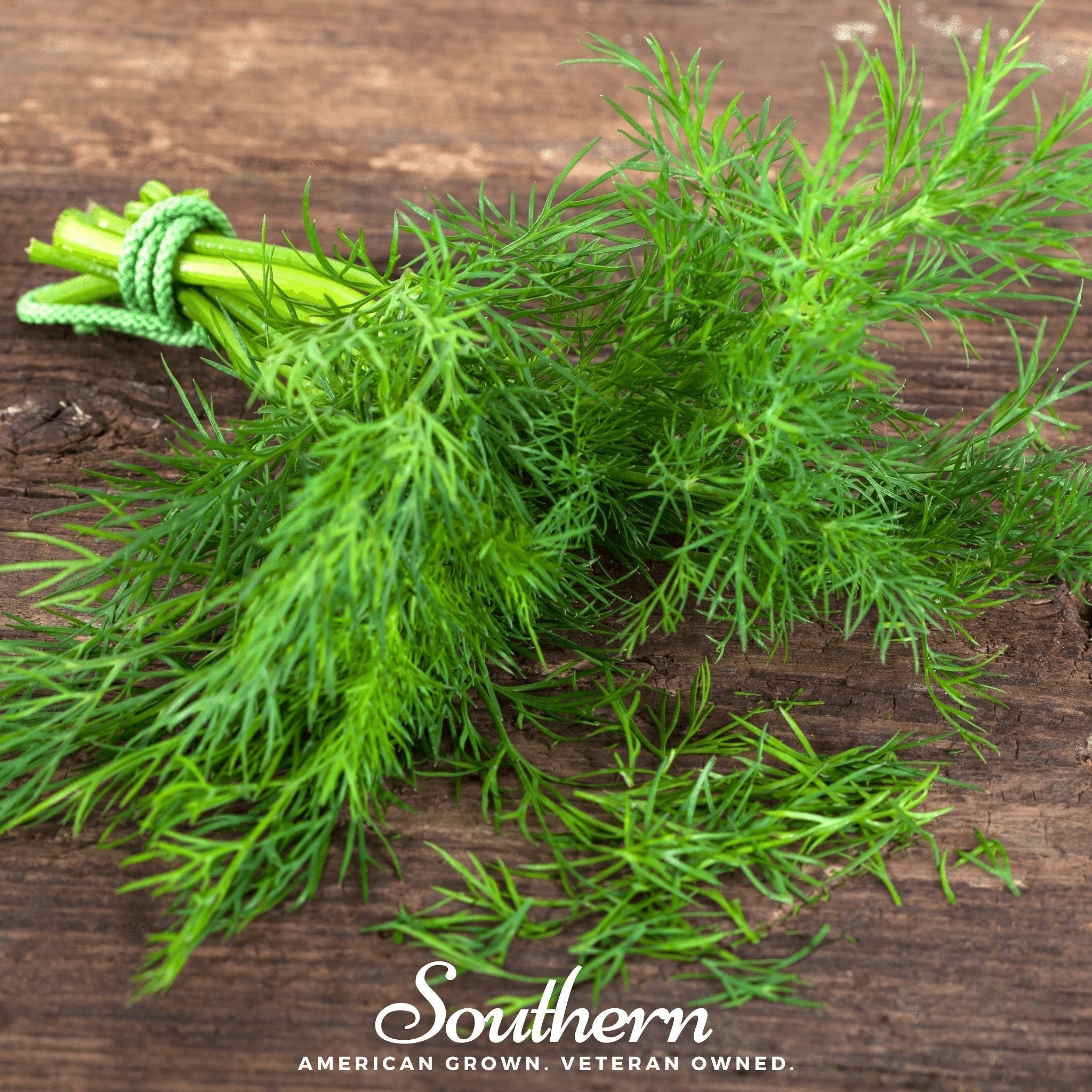 Dukat Dill – 100 Seeds Southern Seeds