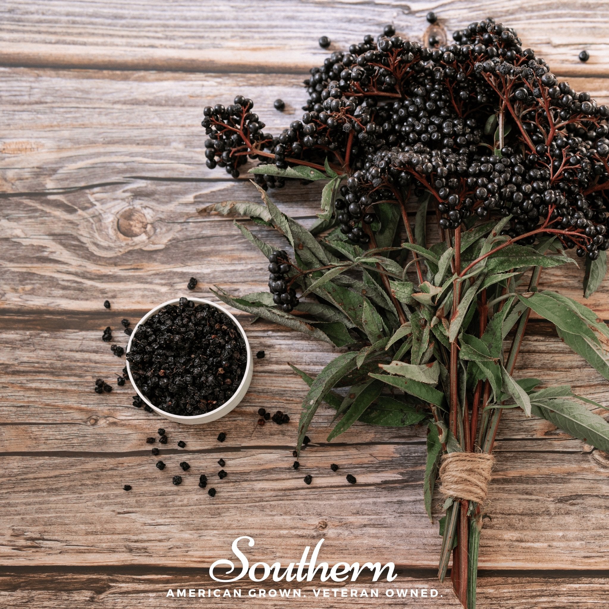 Dried Elderberry – 1 cups Southern Seeds