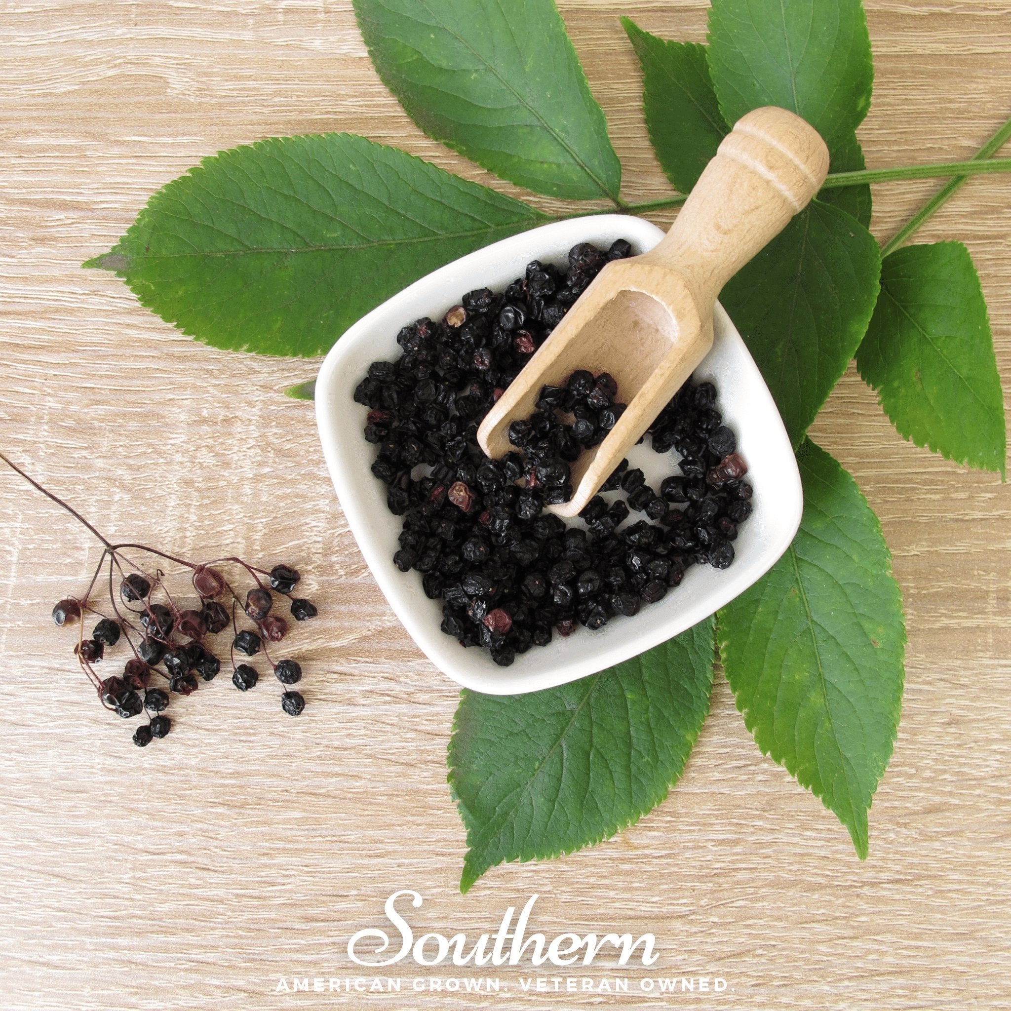 Dried Elderberry – 1 cups Southern Seeds