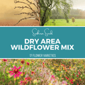 Dry Area Wildflower Seed Mix (18 Varieties) – 1,000 Seeds Southern Seeds