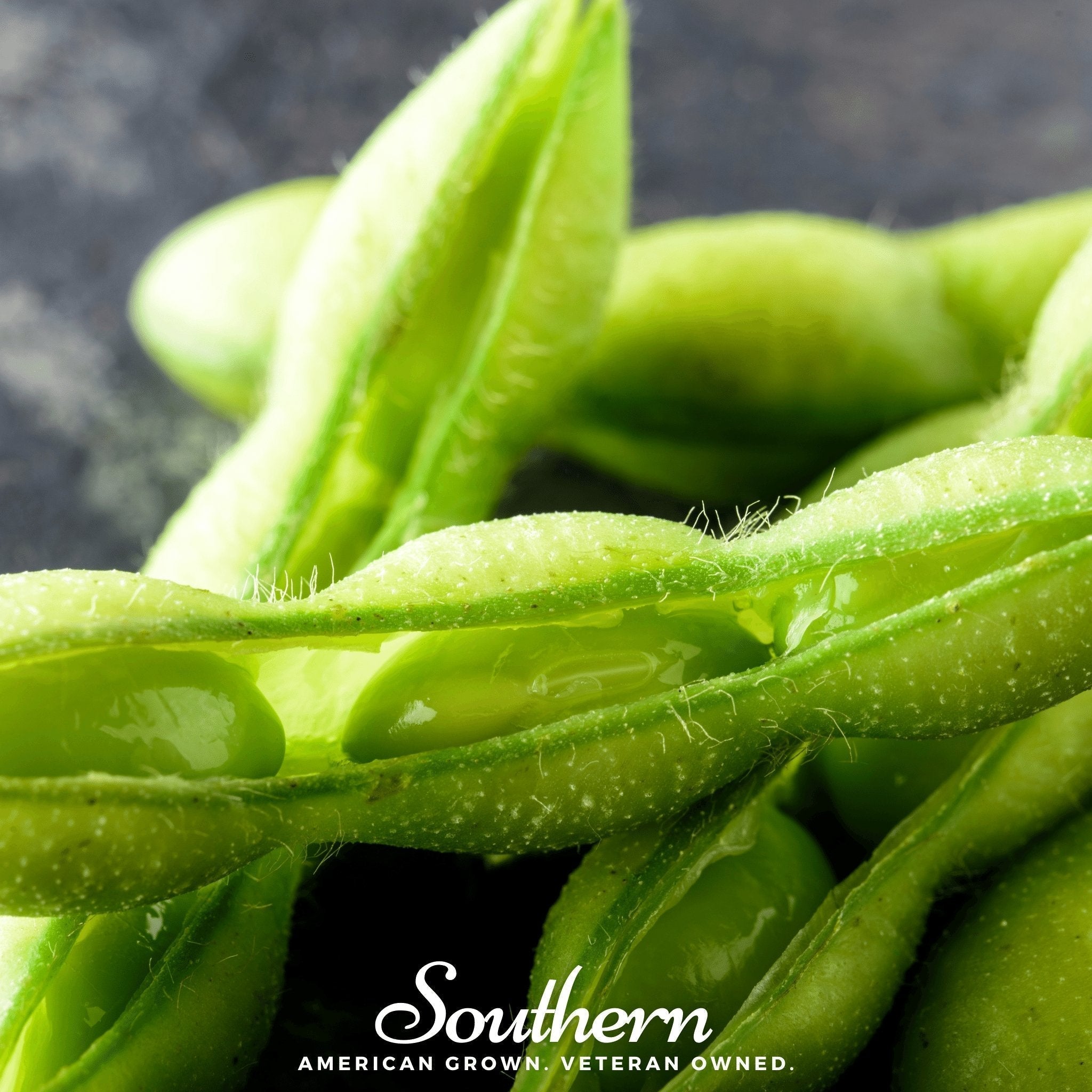Be Sweet Edamame Soybean (Bush) – 20 Seeds Southern Seeds