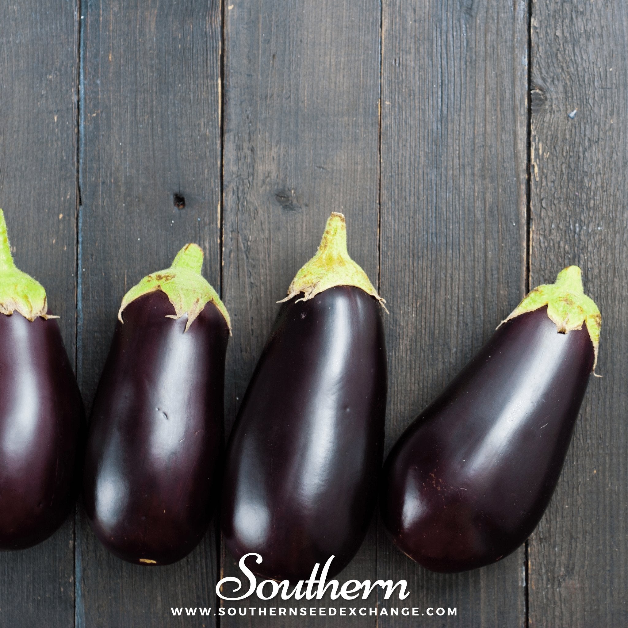Black Beauty Eggplant – 50 Seeds Southern Seeds