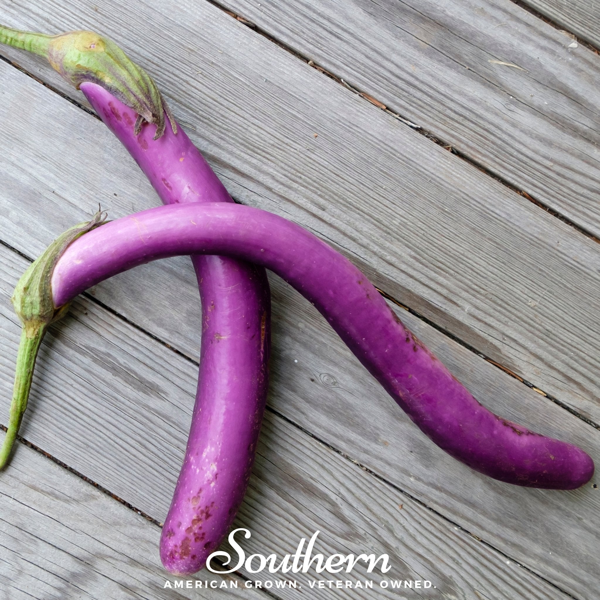 Long Purple Eggplant – 50 Seeds Southern Seeds