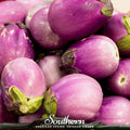 Rosa Bianca Eggplant – 50 Seeds Southern Seeds