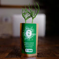 You Plant We Plant Tree Pouch, Grow a Tree and We'll Plant 100 More ForestNation