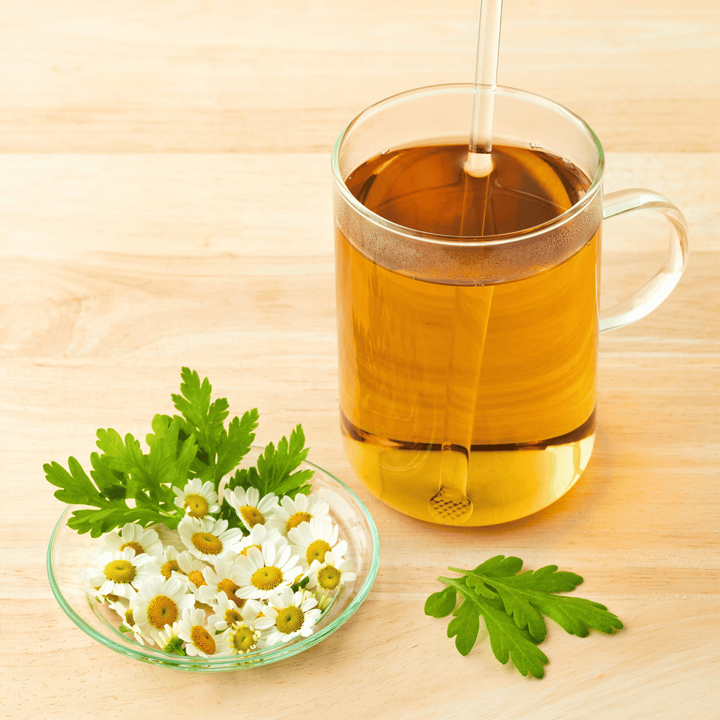 Feverfew – 100 Seeds Southern Seeds