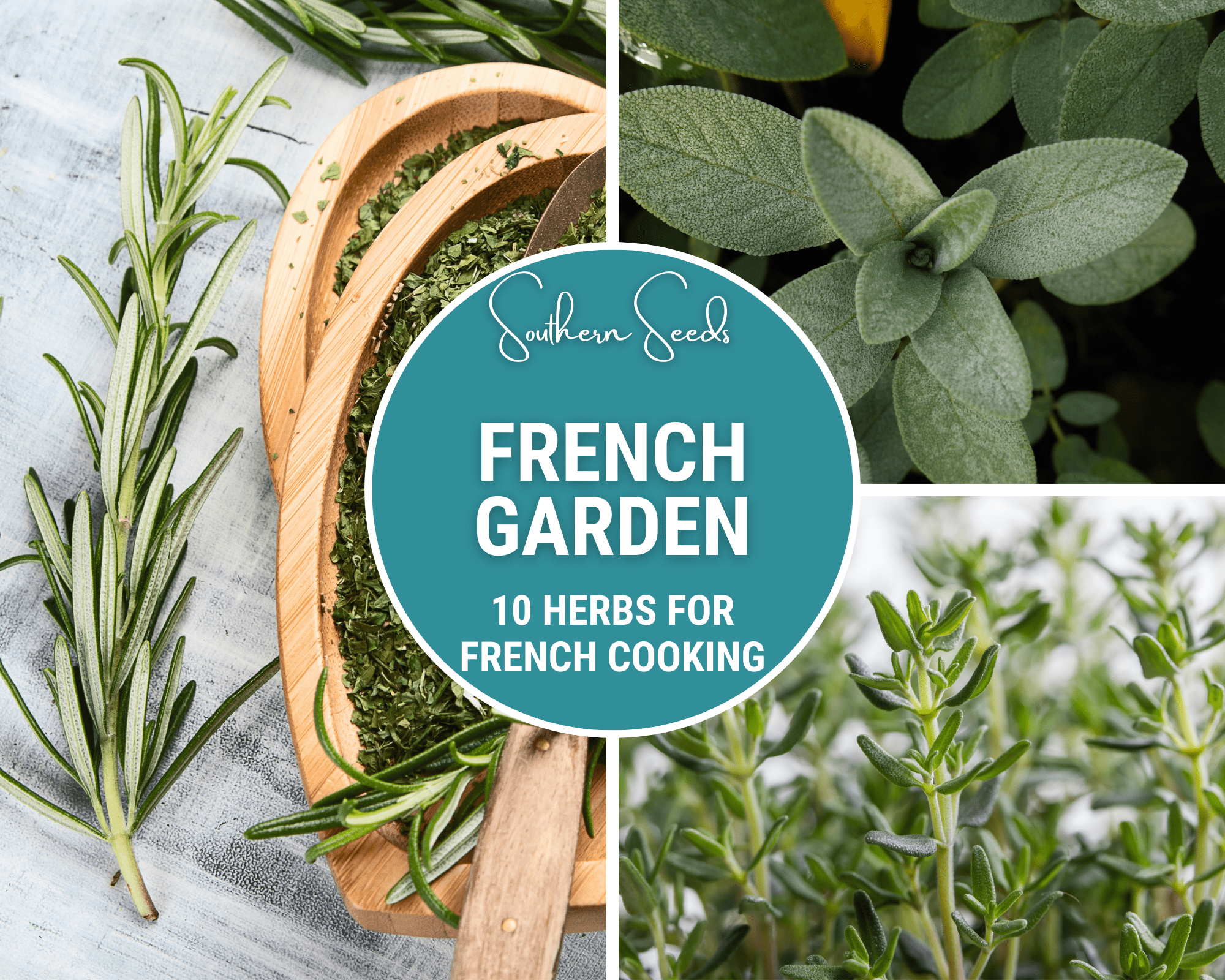 French Garden Seed Collection – 10 Varieties Southern Seeds