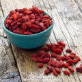 Goji Berry – 50 Seeds Southern Seeds