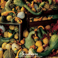 Large & Small Mix Gourds – 20 Seeds Southern Seeds