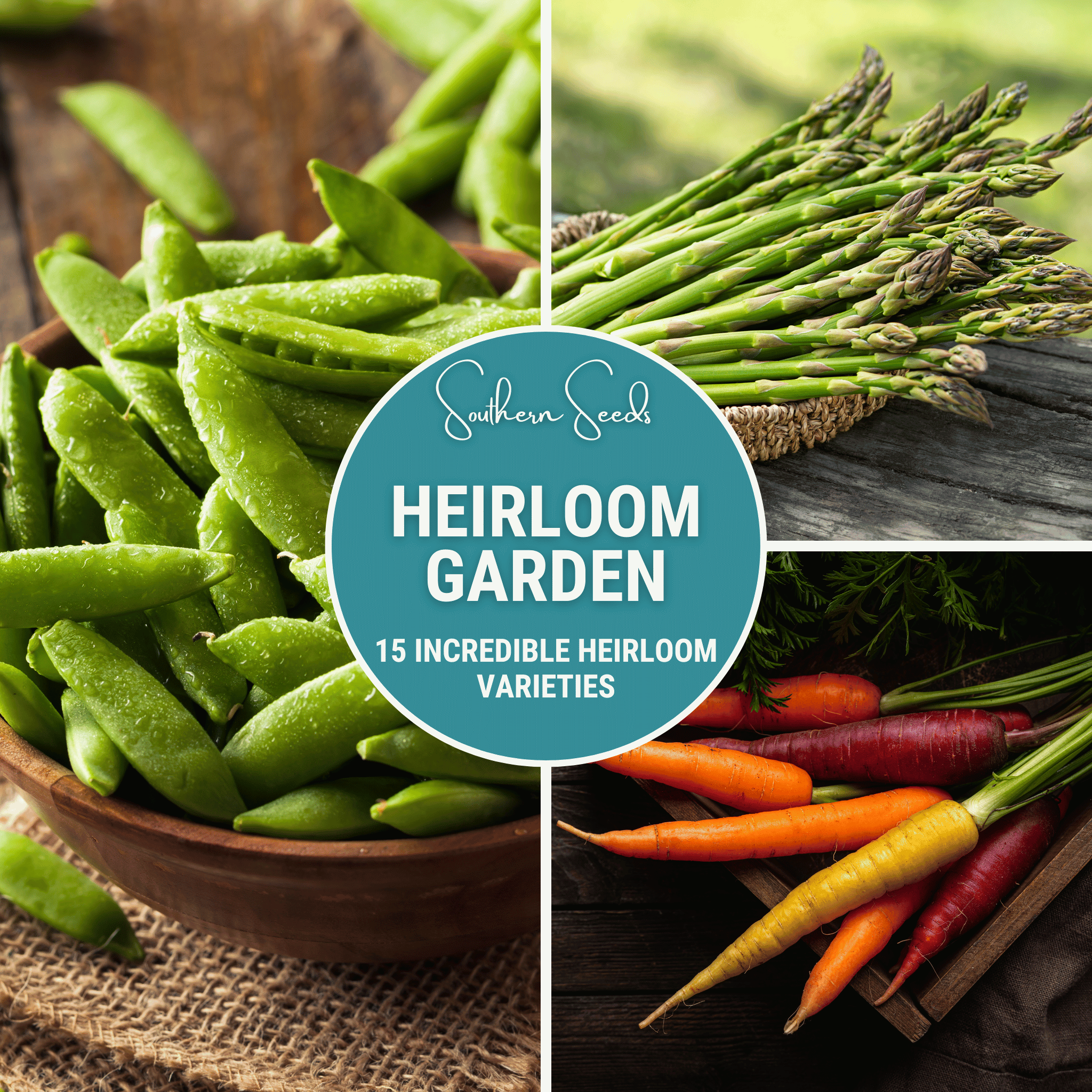Heirloom Vegetable Seed Collection – 15 Varieties Southern Seeds