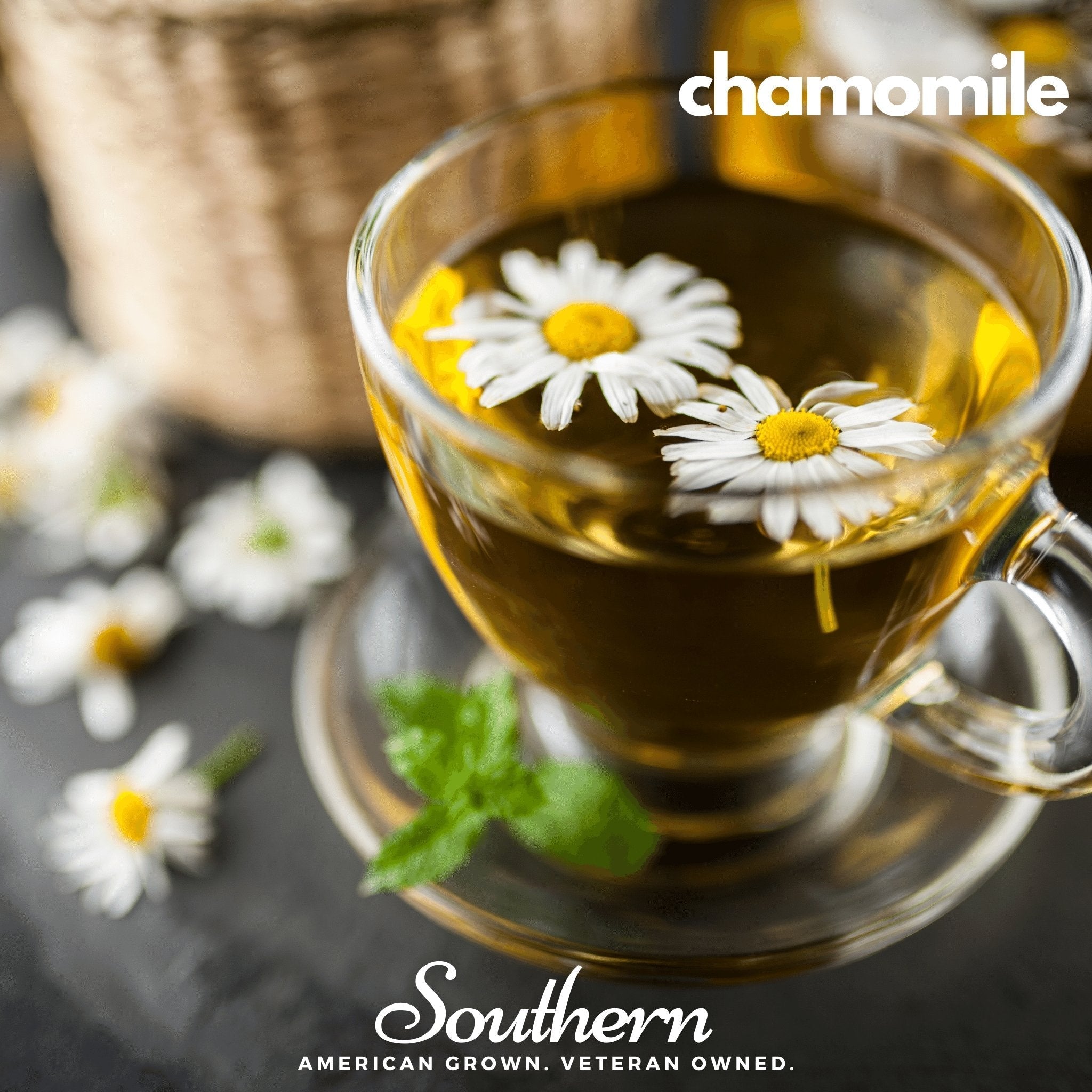 Herbal Tea Seed Collection – 6 Varieties Southern Seeds