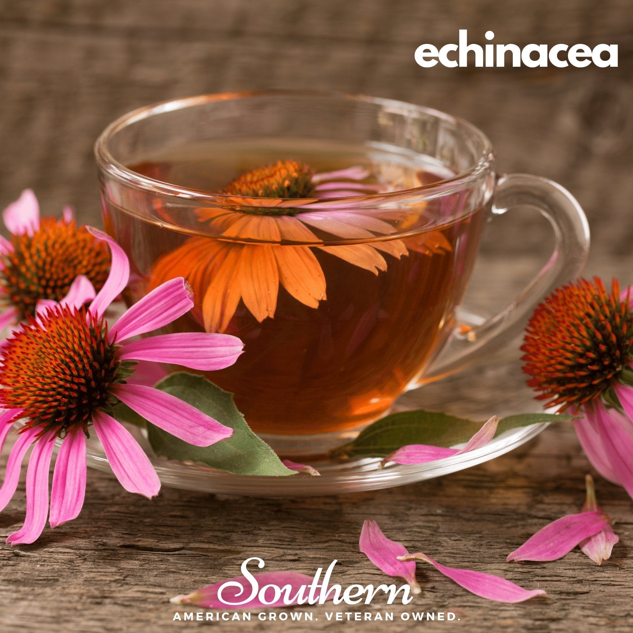 Herbal Tea Seed Collection – 6 Varieties Southern Seeds