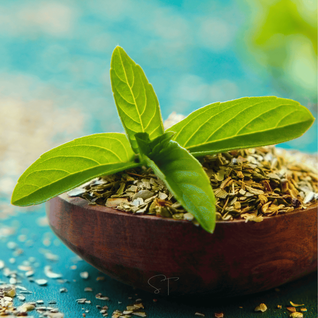 Holy Tulsi Basil – 250 Seeds Southern Seeds