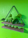 Wall Hanging Propagation Station Teo Organix