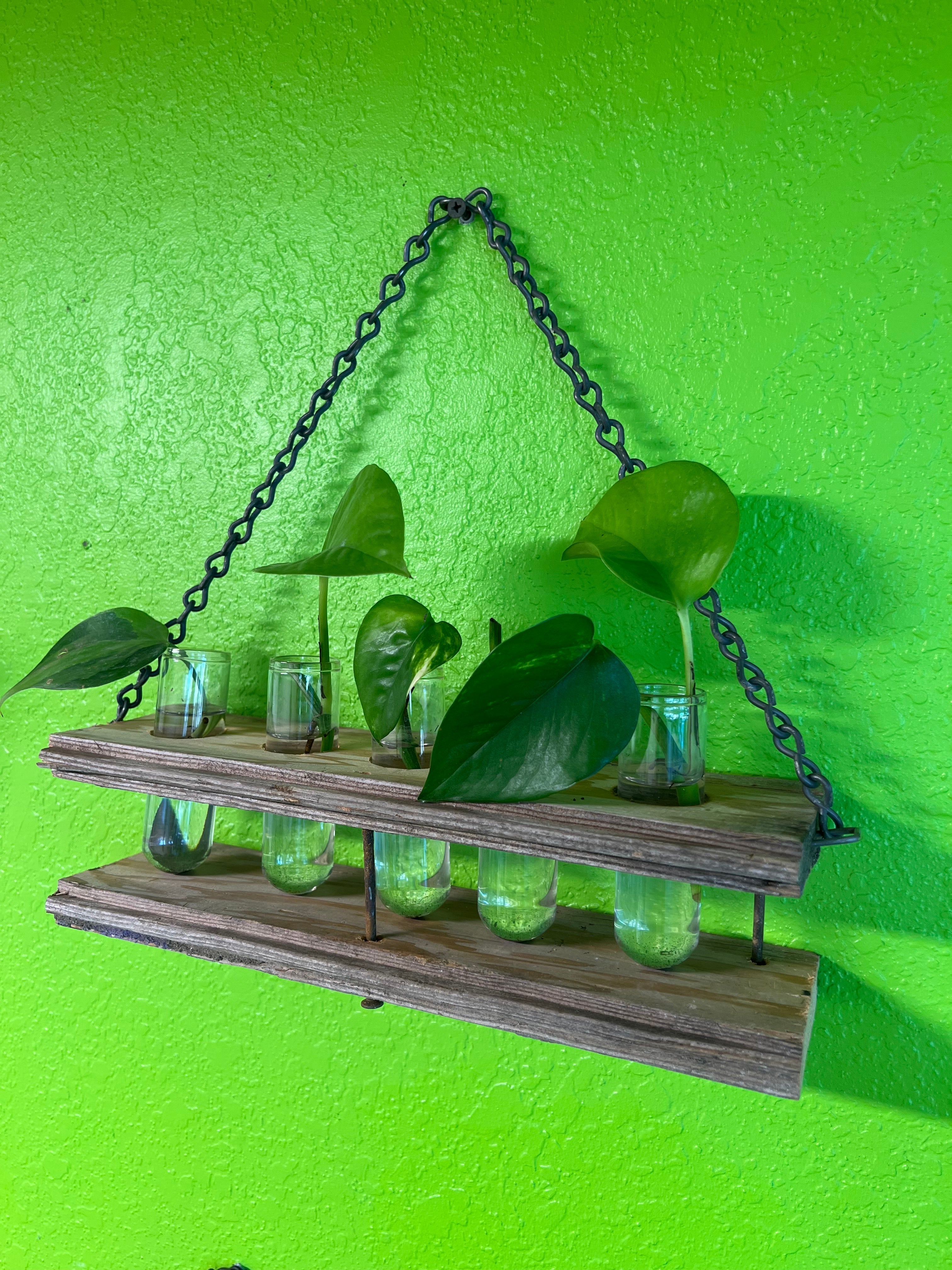Wall Hanging Propagation Station Teo Organix