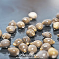 Job’s Tears – 10 Seeds Southern Seeds