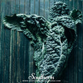 Black Magic Kale – 250 Seeds Southern Seeds