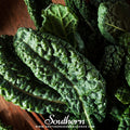 Lacinato "Dinosaur" Kale – 250 Seeds Southern Seeds