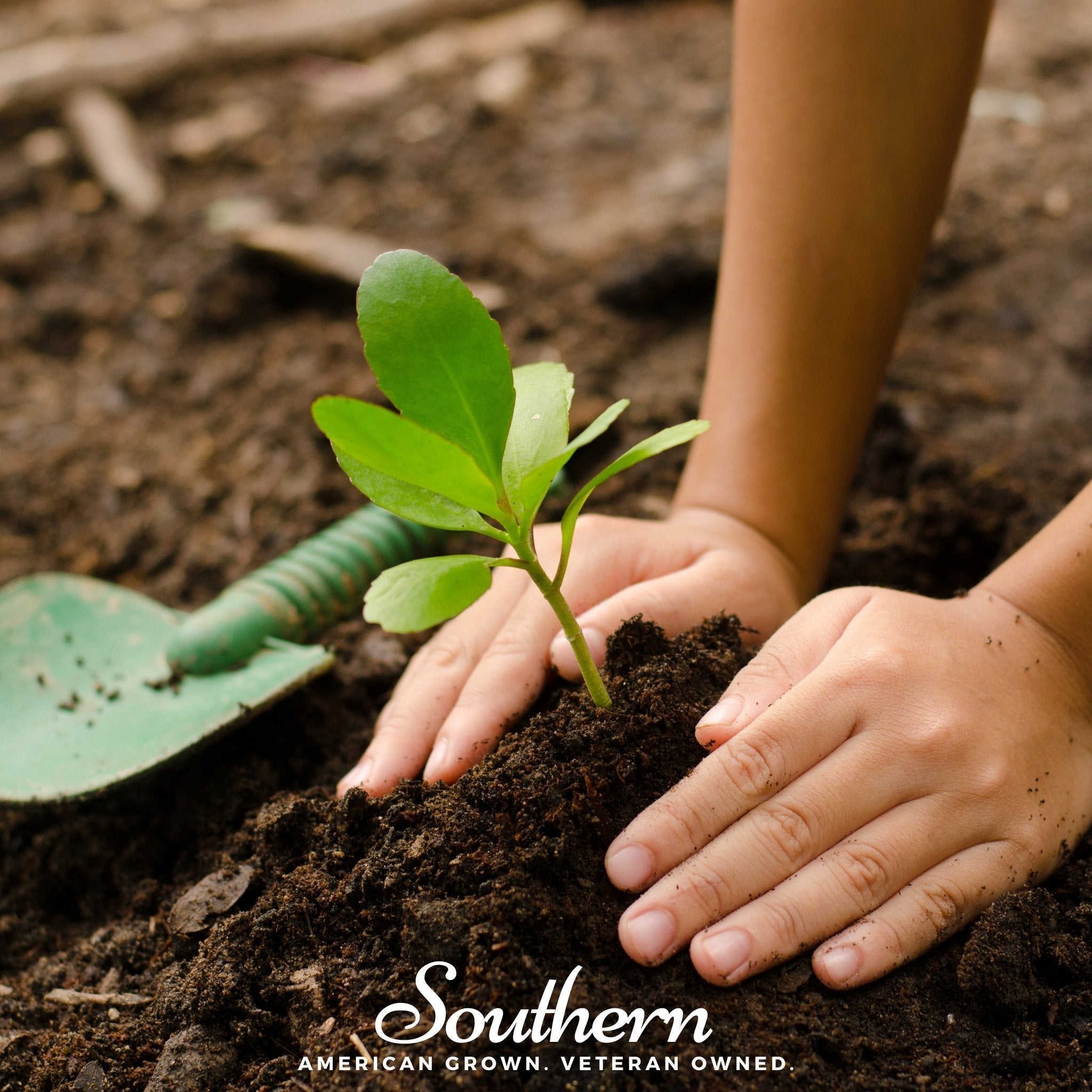 Kids Garden Seed Collection – 10 Varieties Southern Seeds