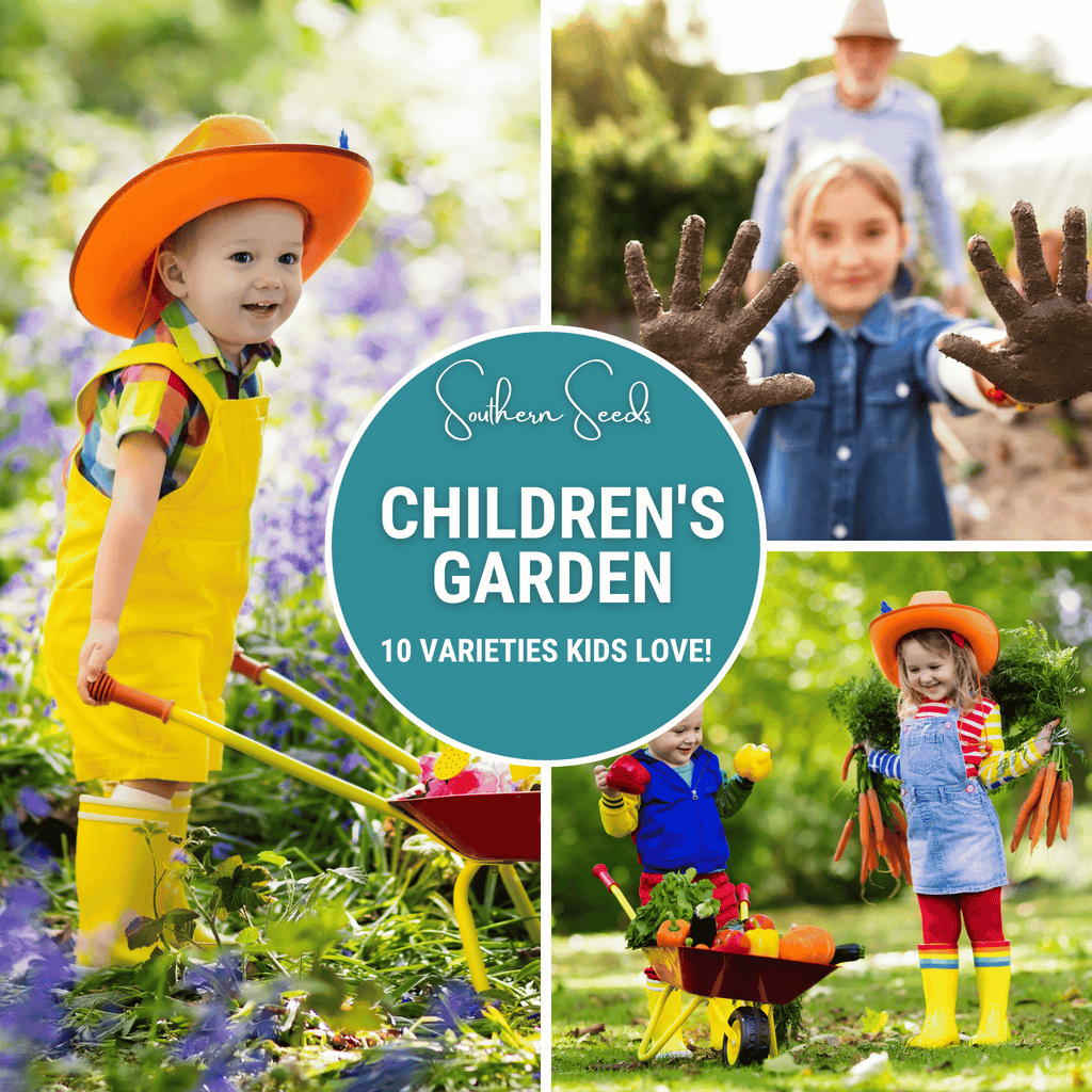 Kids Garden Seed Collection – 10 Varieties Southern Seeds