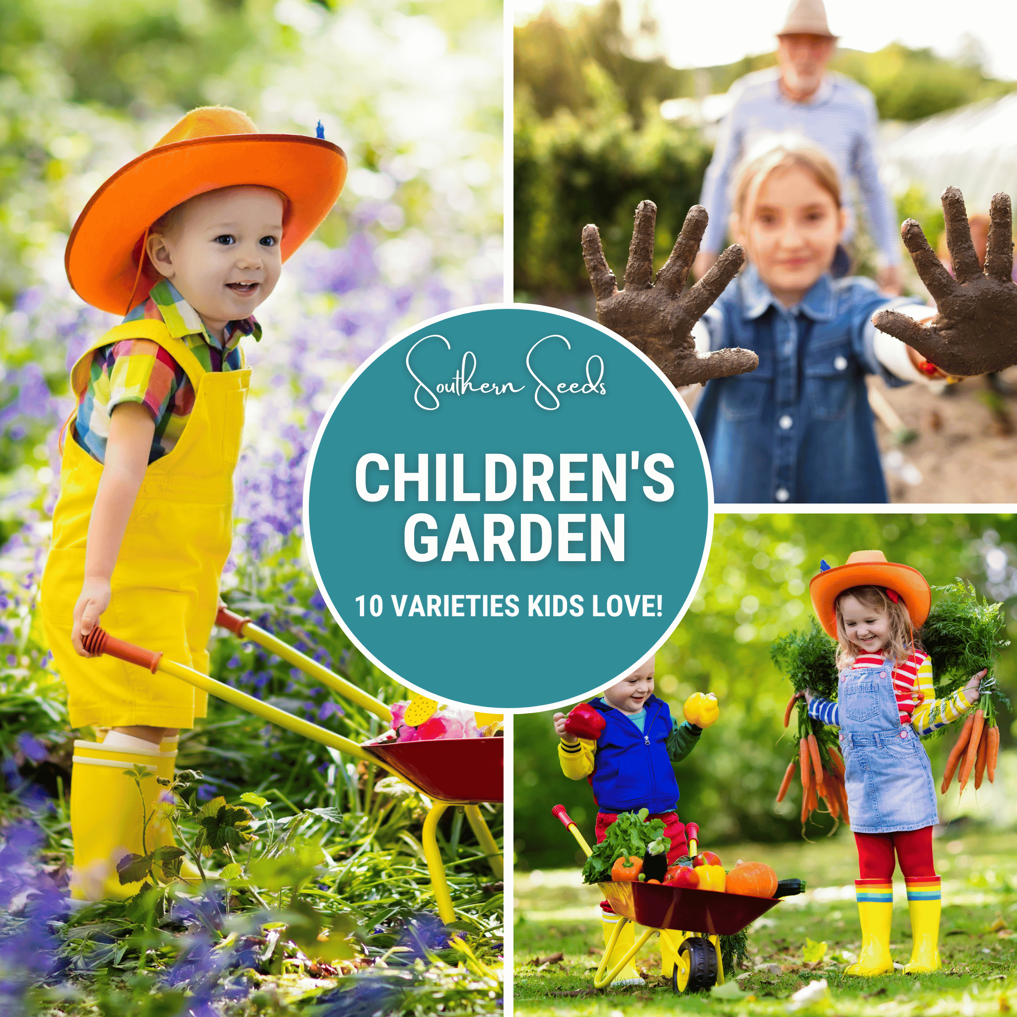 Kids Garden Seed Collection – 10 Varieties Southern Seeds