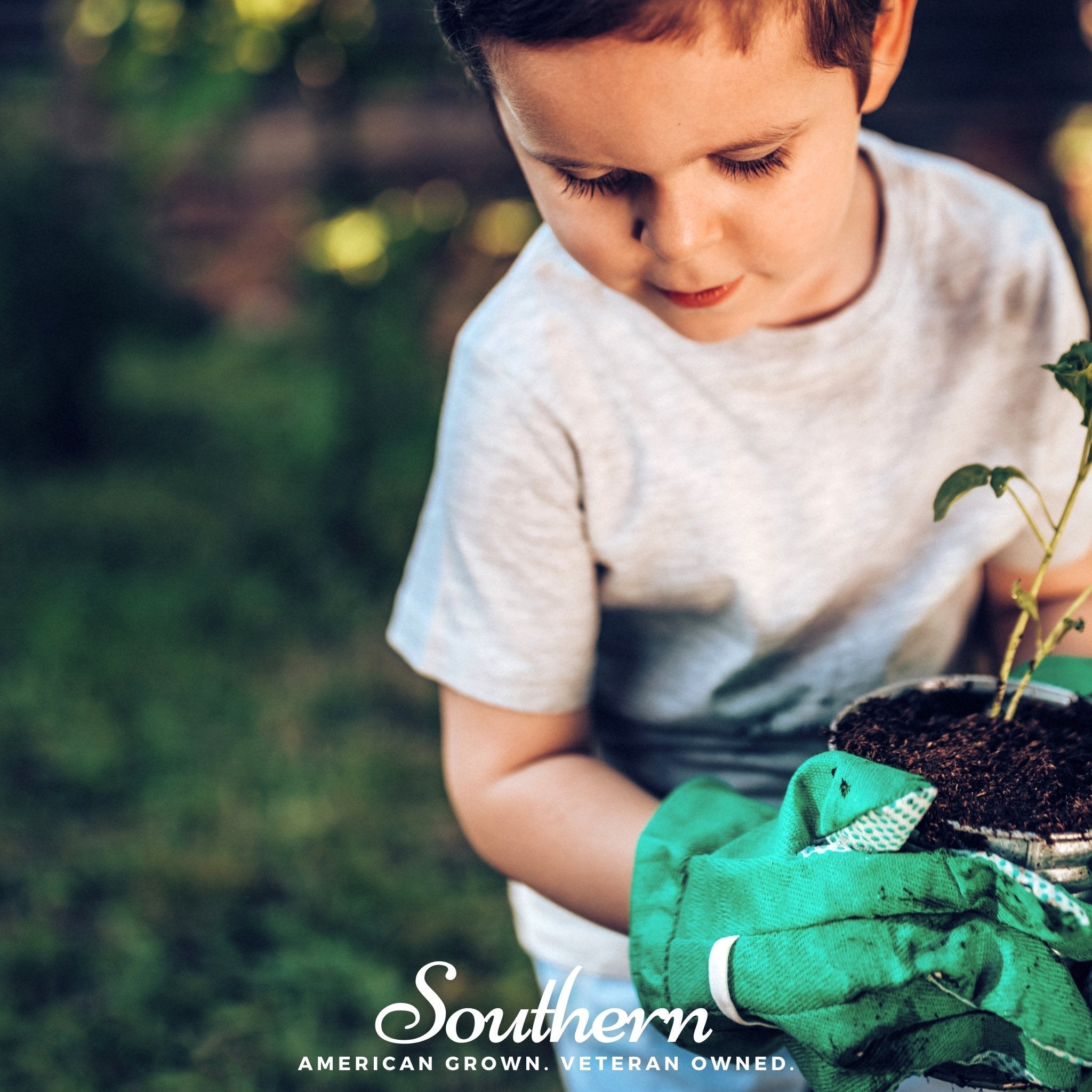 Kids Garden Seed Collection – 10 Varieties Southern Seeds