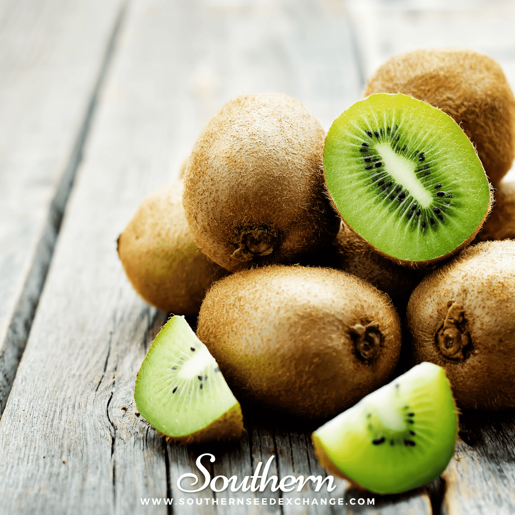 Kiwi Fruit – 100 Seeds Southern Seeds