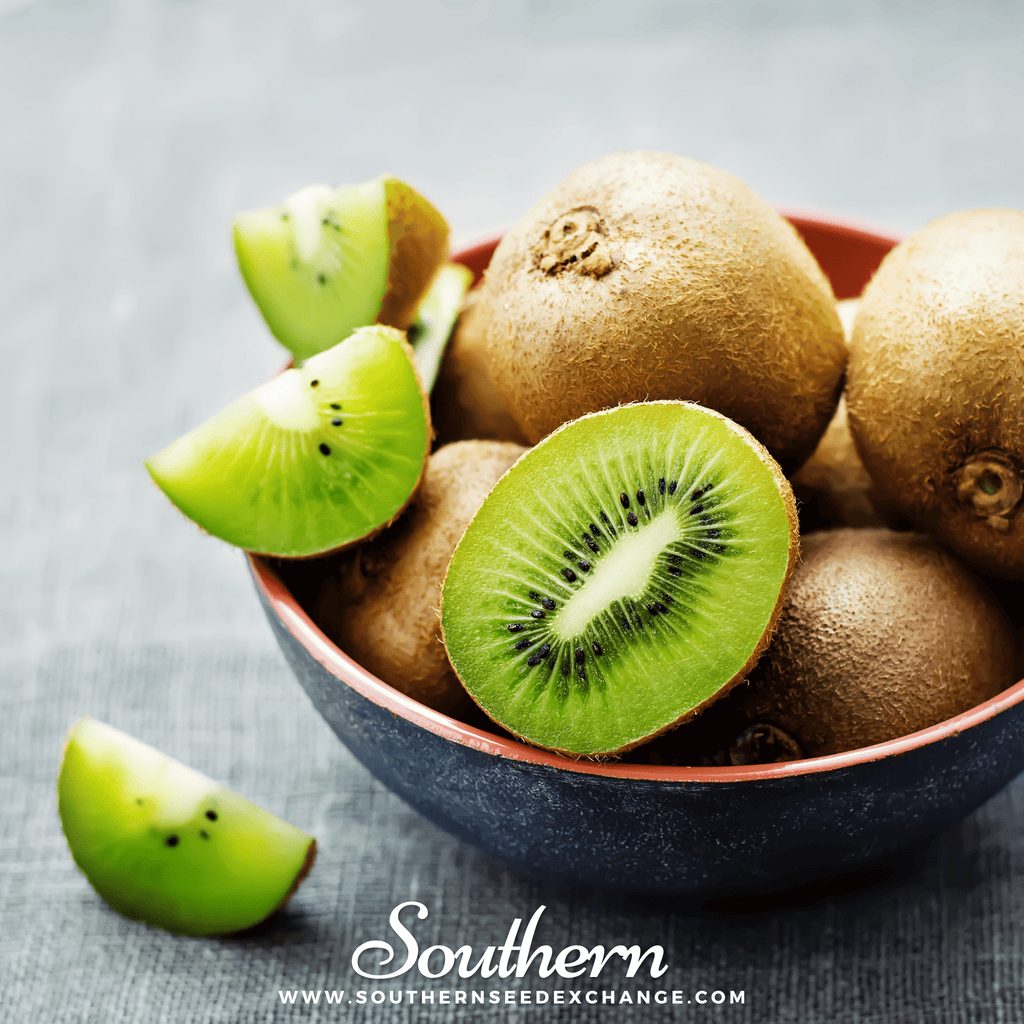 Kiwi Fruit – 100 Seeds Southern Seeds