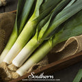 Giant Musselburgh Leek – 200 Seeds Southern Seeds