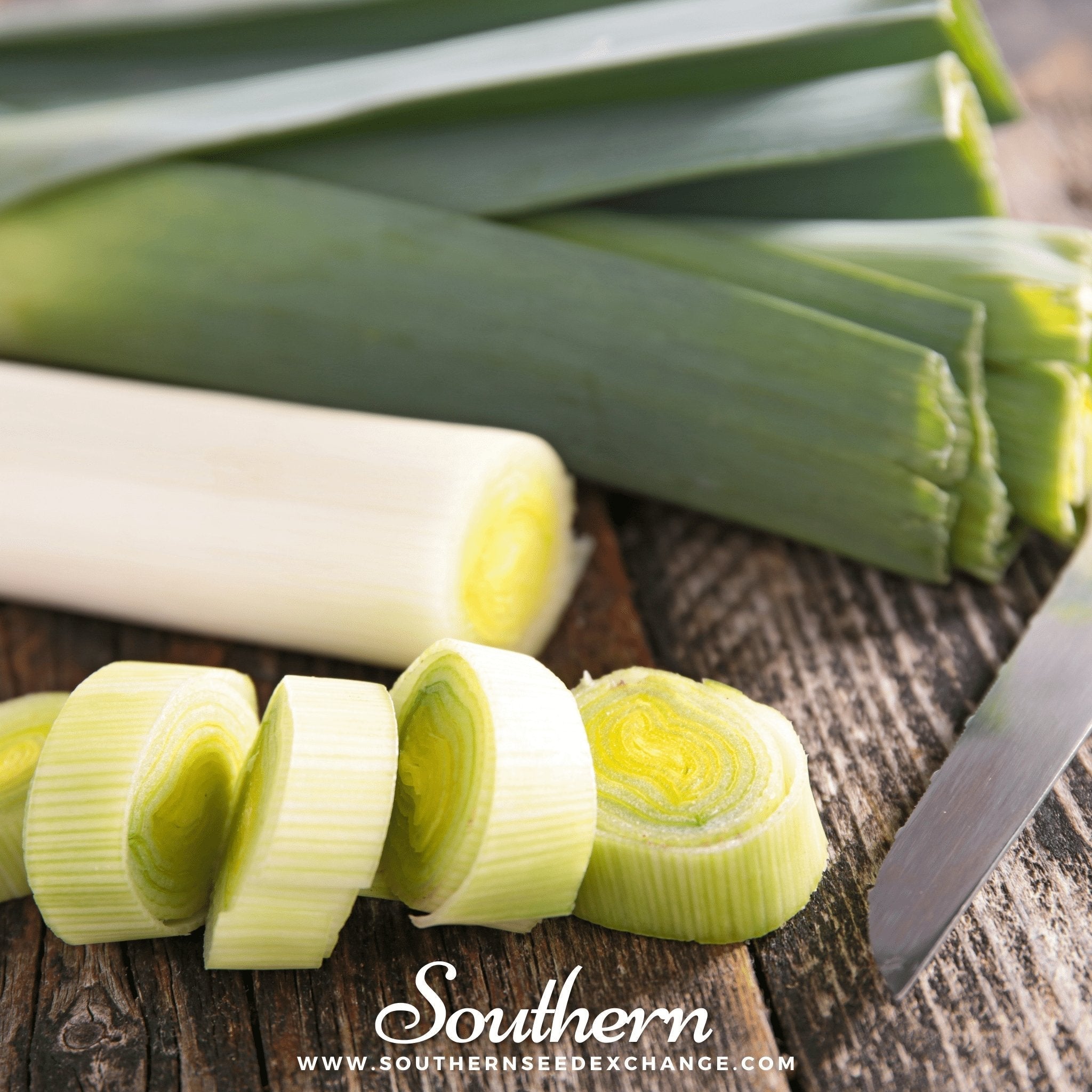 Giant Musselburgh Leek – 200 Seeds Southern Seeds