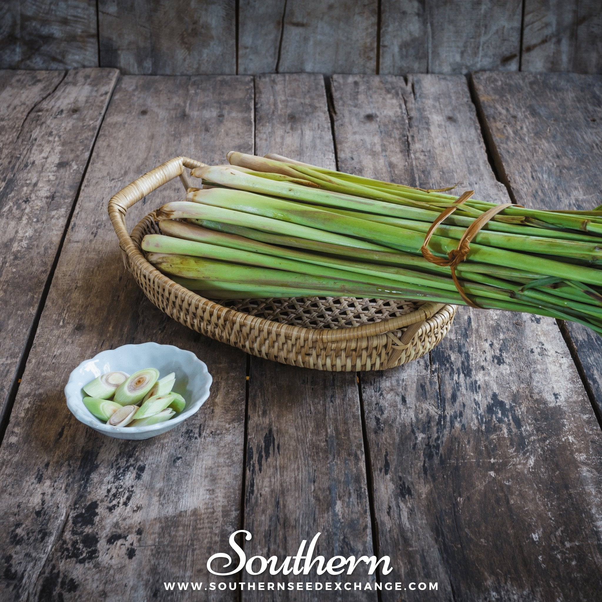 Lemon Grass – 100 Seeds Southern Seeds
