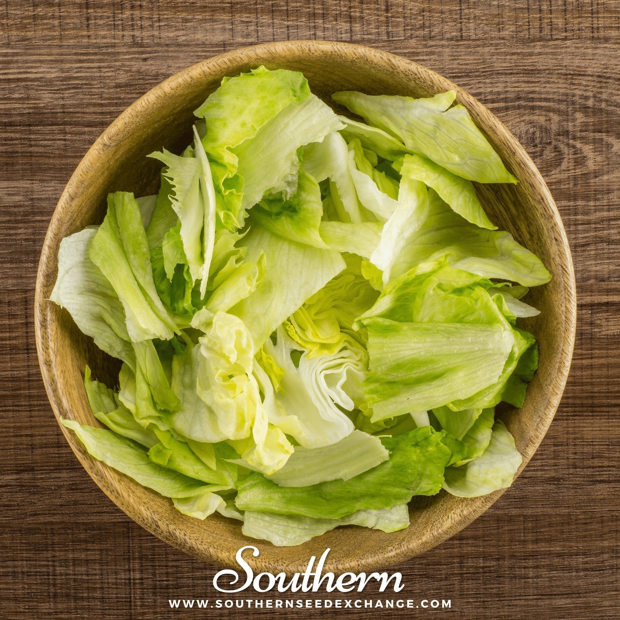 Iceberg Lettuce – 500 Seeds Southern Seeds