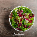 Mesclun Mix Lettuce – 500 Seeds Southern Seeds
