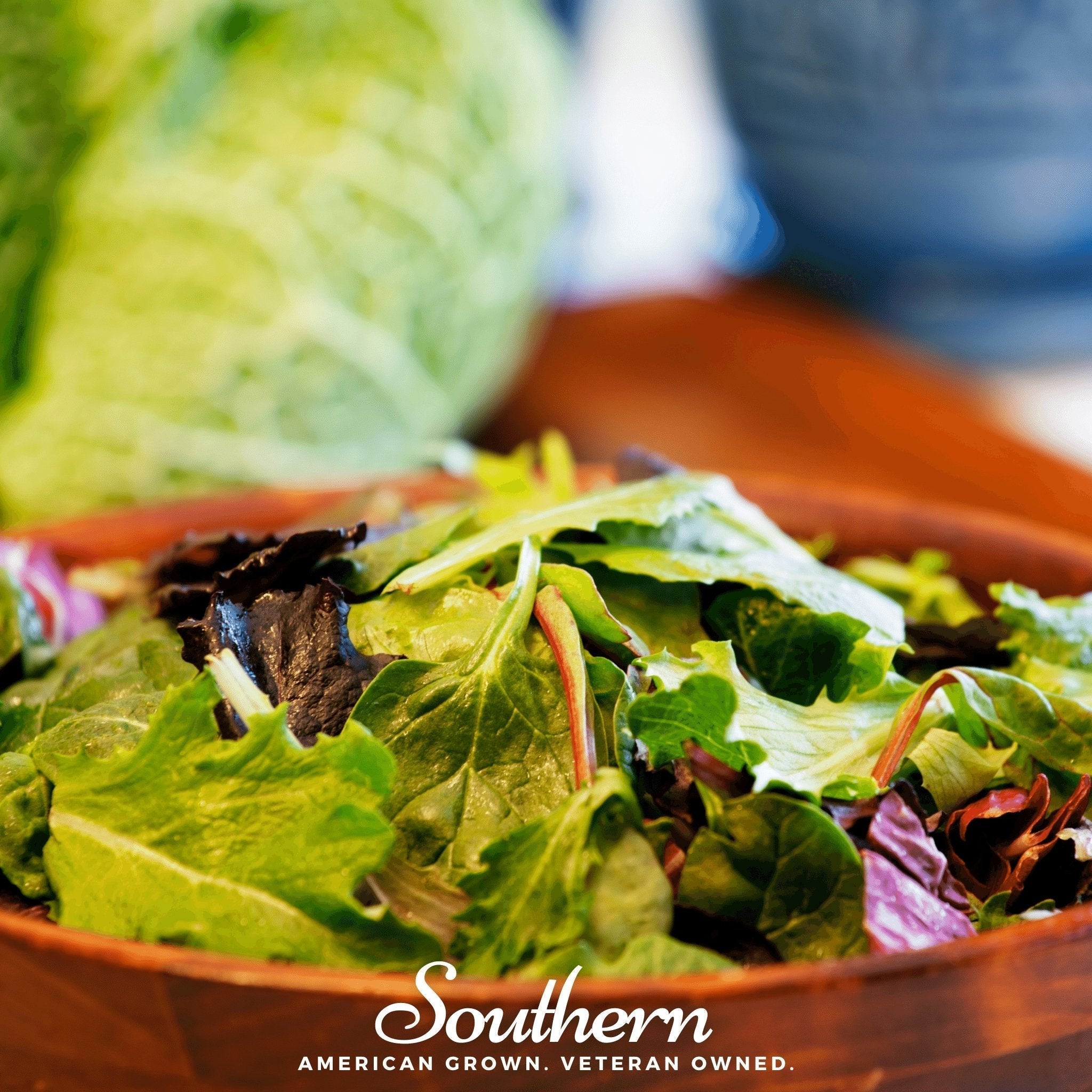 Mesclun Mix Lettuce – 500 Seeds Southern Seeds