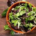 Gourmet Mix Lettuce – 500 Seeds Southern Seeds