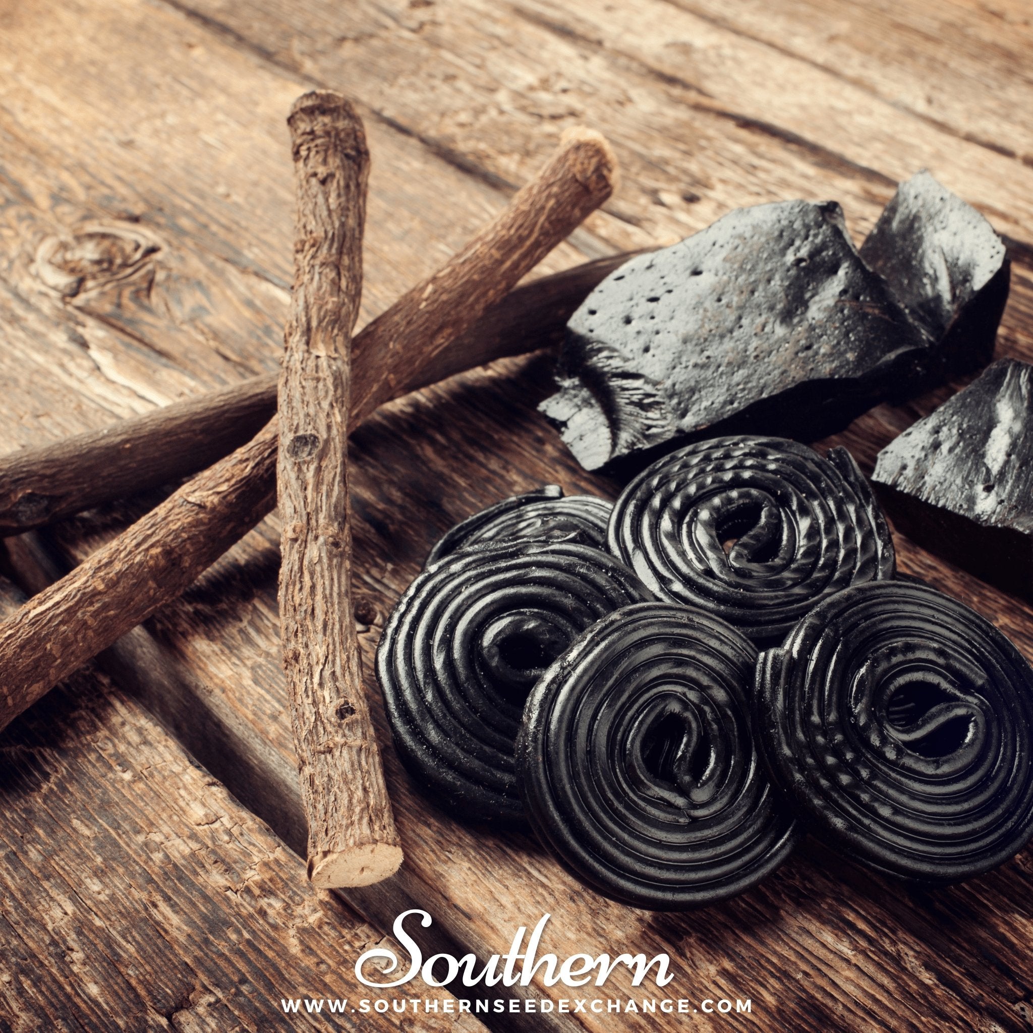 Licorice – 20 Seeds Southern Seeds