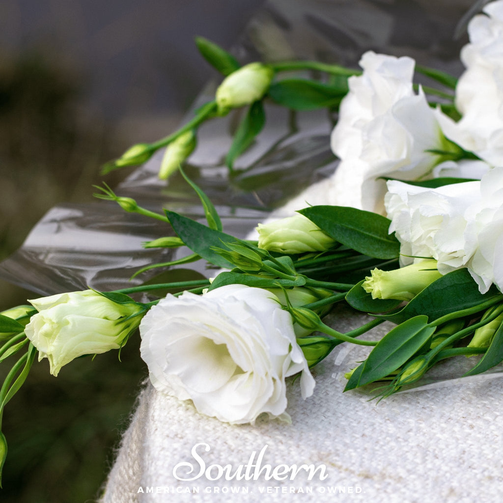Sapphire White Lisianthus – 25 Seeds Southern Seeds