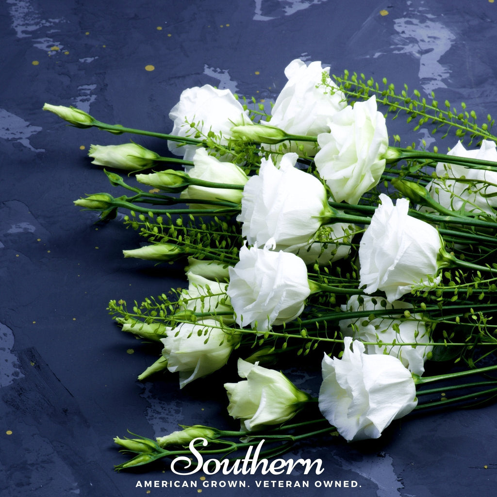 Sapphire White Lisianthus – 25 Seeds Southern Seeds