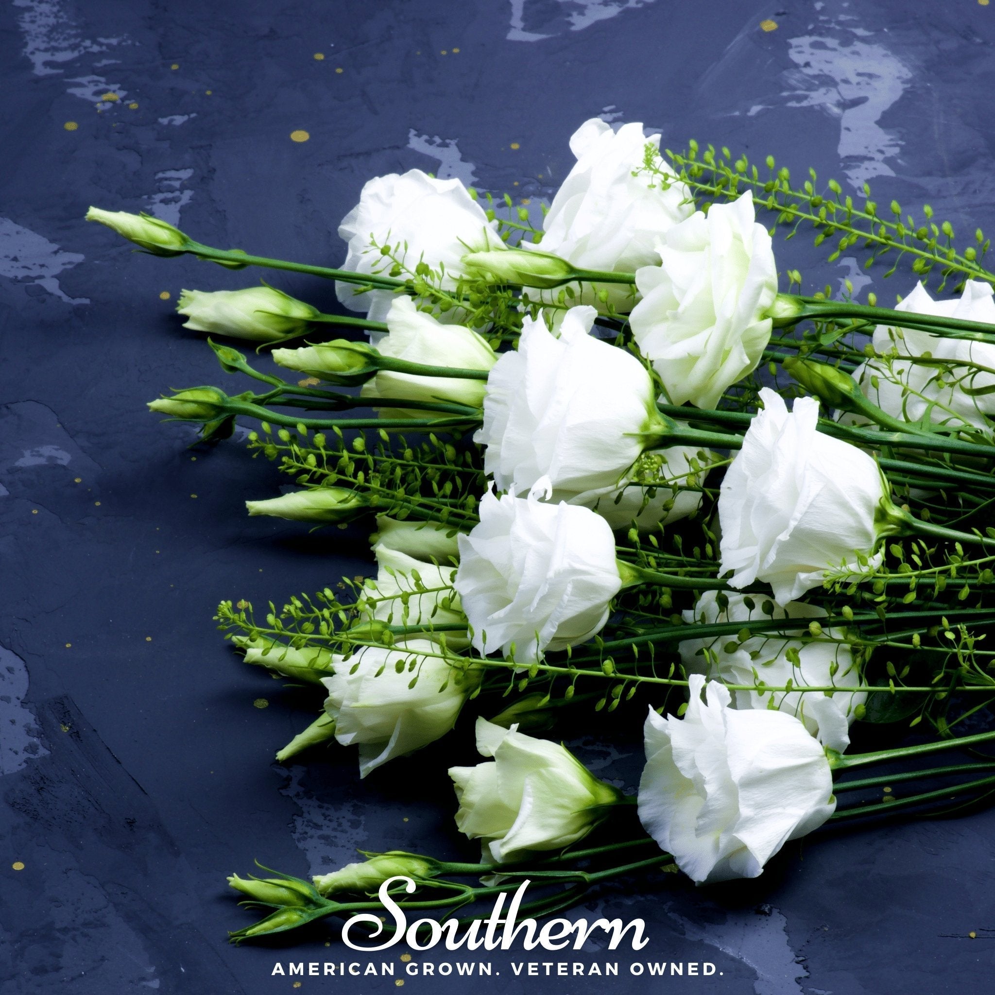 Sapphire White Lisianthus – 25 Seeds Southern Seeds