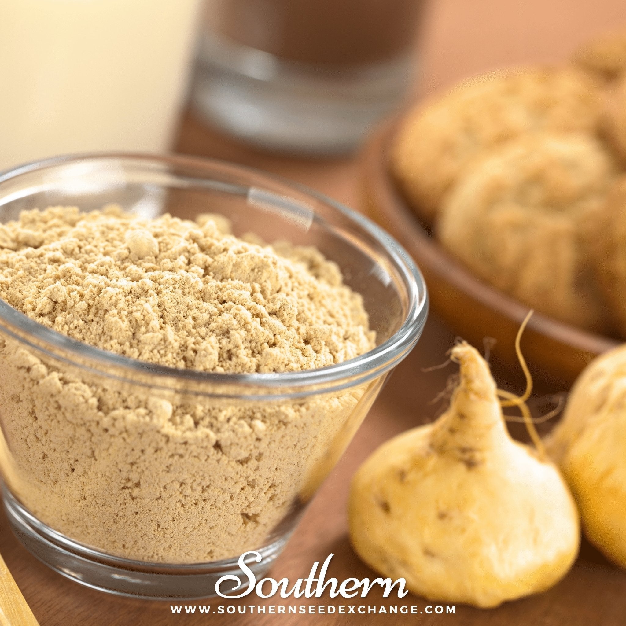 Maca – 25 Seeds Southern Seeds