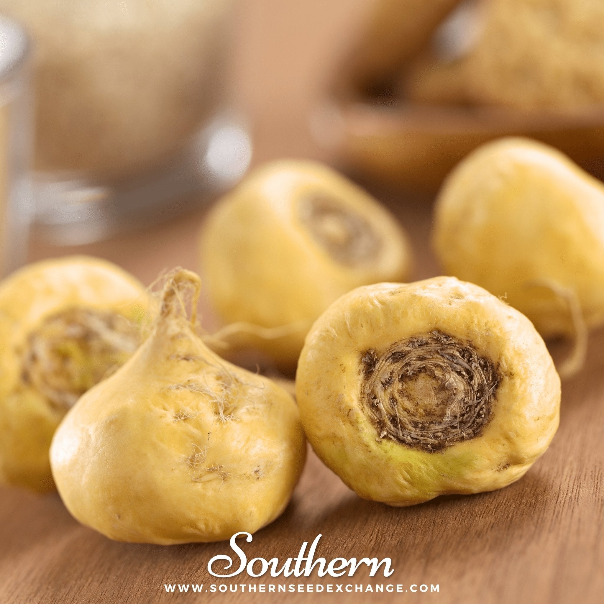 Maca – 25 Seeds Southern Seeds