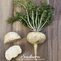 Maca – 25 Seeds Southern Seeds