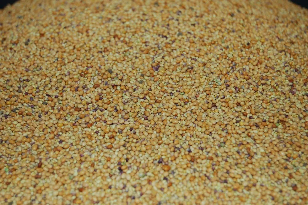 Tri-Clover - Red, White, & Crimson Clovers - Alternative Lawn Seed Earthwise Seed