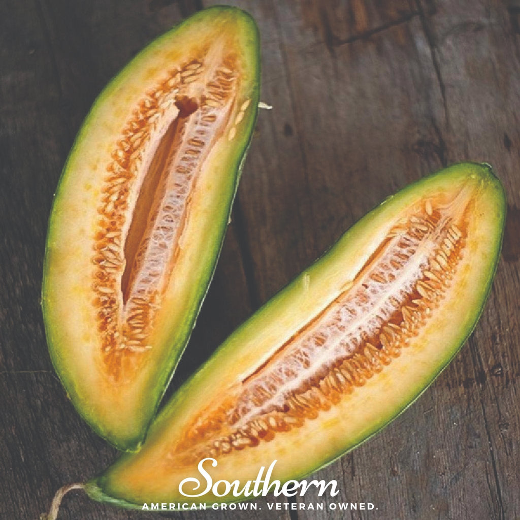 Banana Melon – 20 Seeds Southern Seeds