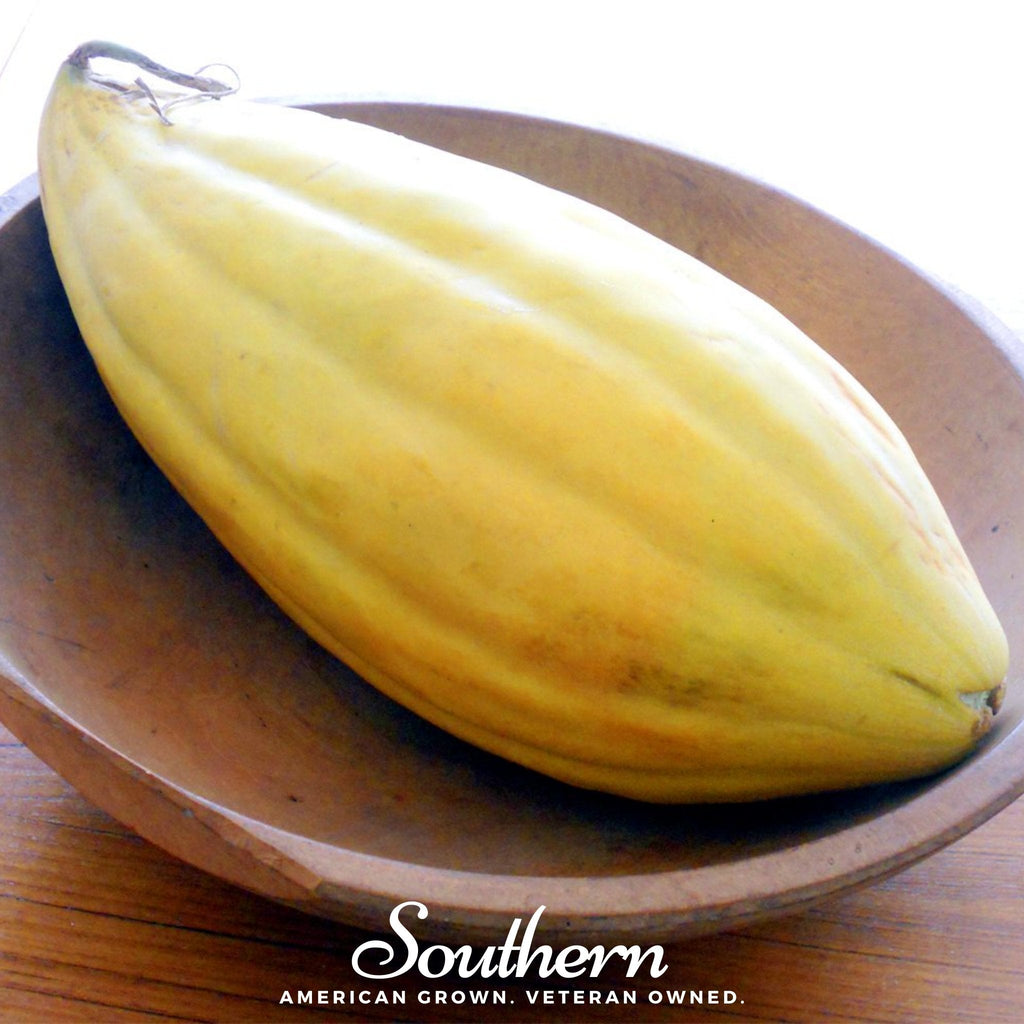 Banana Melon – 20 Seeds Southern Seeds