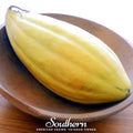 Banana Melon – 20 Seeds Southern Seeds