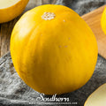 Canary Melon – 25 Seeds Southern Seeds