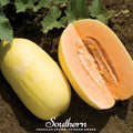 Crenshaw Melon – 20 Seeds Southern Seeds